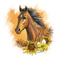 Head of a horse with sunflowers vector illustration isolated Royalty Free Stock Photo