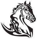 Head of horse tribal tattoo Royalty Free Stock Photo