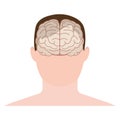 Head human, face and brain in flat style. Vector illustration. F