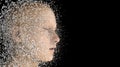 Head Human shattered portrait Royalty Free Stock Photo