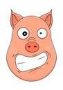 Head of hysterical pig in cartoon style. Kawaii animal.