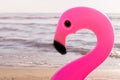 The Head Of An Inflatable Flamingo Close-up Against The Background Of The Sea And The Beach In Summer
