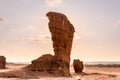 Head of a King Cobra - Namibe desert Royalty Free Stock Photo