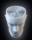 Head with a labyrinth inside