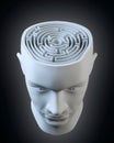 Head with a labyrinth inside Royalty Free Stock Photo