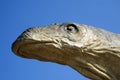 Head of a large brotosaur, JuraPark dinosaur park Royalty Free Stock Photo