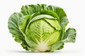 Head of lettuce with green leaves on white background photo. Generative AI