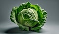 A head of lettuce on a grey background