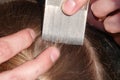 Checking a young girls hair for head lice