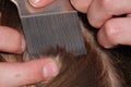 Checking a young girls hair for head lice