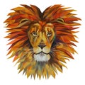 The head of a lion with a big mane, mosaic. Trendy style geometric on white background. Colorful vector. Geometric rumpled