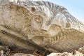 The head of a lion is carved into marble.