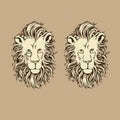 Head of lion with a fluffy mane and monocle. Vector illustration