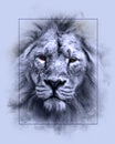 The Head of the Lion