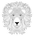 Head of lion Royalty Free Stock Photo