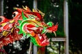 Head of liong on dragon dance welcome Chinese new year Royalty Free Stock Photo