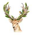 The head of a male deer with horns and woven branches of a tree. Isolated background. Boho template to design posters