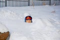 Head of a mannequin with glasses buried in the snow