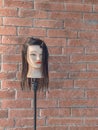 The head of mannequin with hairstyle. Royalty Free Stock Photo
