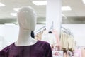 Head of a mannequin in a store close up Royalty Free Stock Photo
