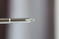 Head of metal crosses screwdriver close-up on a blurred background. hand tool close up. copy space Royalty Free Stock Photo