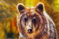 Head of mighty brown bear, oil painting on canvas and graphic collage. Eye contact. Royalty Free Stock Photo