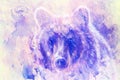 Head of mighty brown bear, oil painting on canvas and graphic collage. Eye contact. Royalty Free Stock Photo