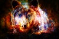 Head of mighty brown bear in space, oil painting on canvas and graphic collage. Eye contact.
