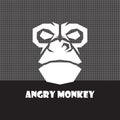 head monkey vector image