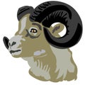 Head of the mountain ram Royalty Free Stock Photo