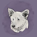 Head, muzzle the dog. Shepherd. Sketch drawing. Black contour on a purple grunge background. Royalty Free Stock Photo