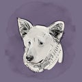 Head, muzzle the dog. Shepherd. Sketch drawing. Black contour on a purple grunge background. vector Royalty Free Stock Photo