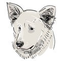 Head, muzzle the dog. Shepherd. Sketch drawing. Black contour on a white background. Royalty Free Stock Photo