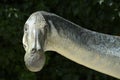 Head and neck reconstruction of dinosaur Royalty Free Stock Photo