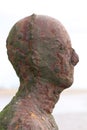 The head of one of the Iron Men of Crosby Beach