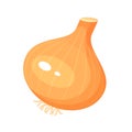 Head of onion unpeeled icon. Bulb vegetable. Ingredient for cooking. Natural curative remedy.