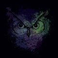 Head of an owl at night on a background of bright colored spots