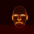 Head of the Person from a 3d Grid. Human Head Model. Face Scanning. View of Human Head. 3D Geometric Face Design. 3d Covering Skin