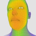 Head of the Person from a 3d Grid. Human Head Wire Model. Human Polygon Head. Face Scanning. View of Human Head. 3D Geometric Face