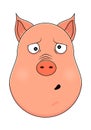 Head of clueless pig in cartoon style. Kawaii animal.