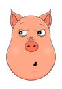 Head of paranoid pig in cartoon style. Kawaii animal.