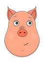 Head of trusting pig in cartoon style. Kawaii animal.