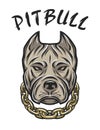 The head of a pit bull with a chain.