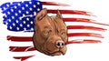 Head of pitbull with american flag vector illustration Royalty Free Stock Photo