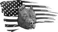 design of Head pitbull with american flag vector illustration