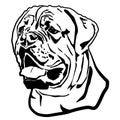 Head portrait of English mastiff, Bullmastiff dog. Isolated outlined sketch,contour vector illustration Royalty Free Stock Photo