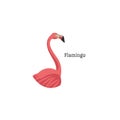 Head portrait of flamingo with text for different design and tattoo. Cartoon style icon of the cute bird face Royalty Free Stock Photo