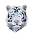 Head portrait of a white bengal tiger from multicolored paints. Splash of watercolor, colored drawing, realistic