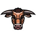 Head of powerful horned bull Royalty Free Stock Photo