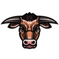 Head of powerful horned bull Royalty Free Stock Photo